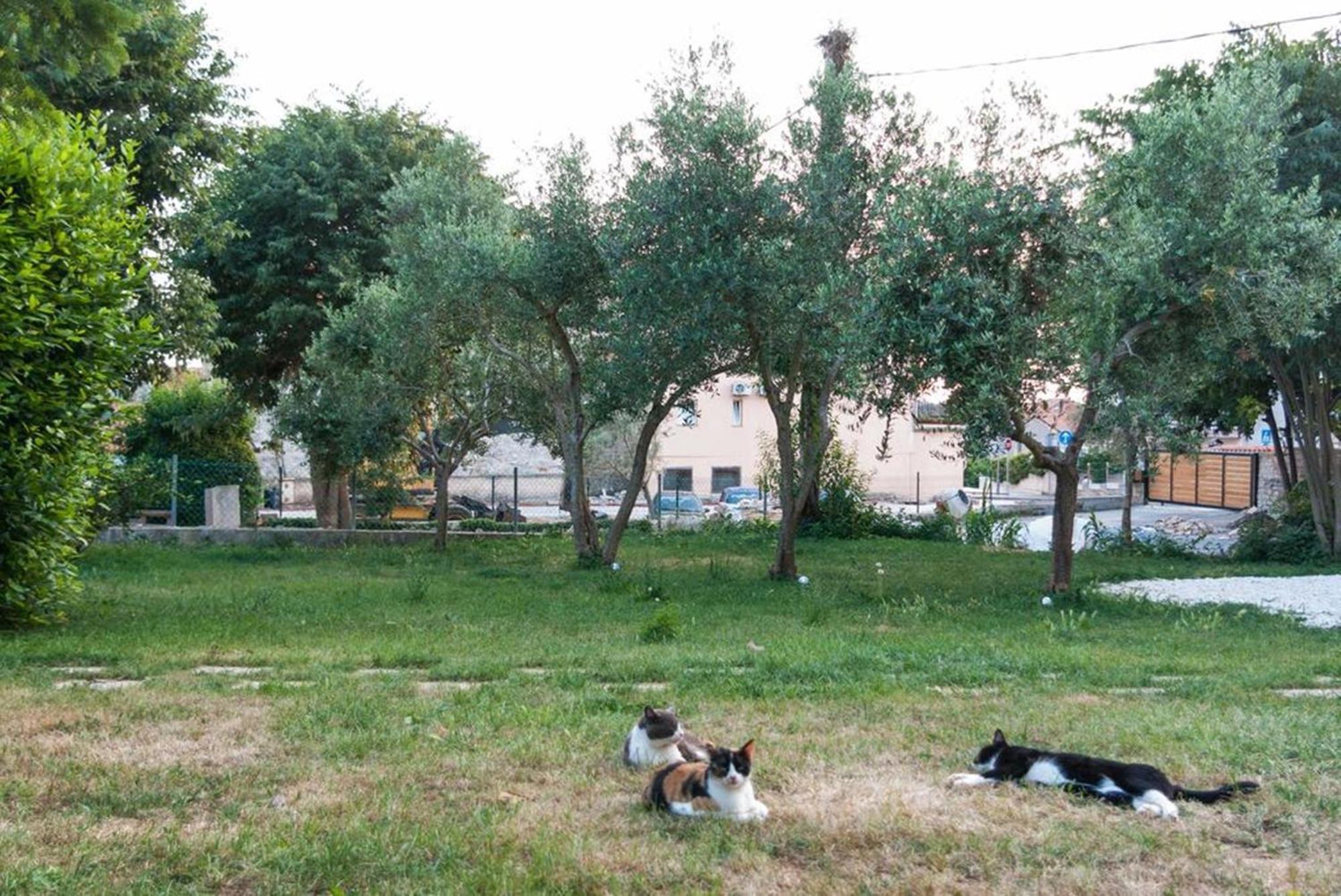 Villa Mediterranea - Apartments Medulin Rum bild